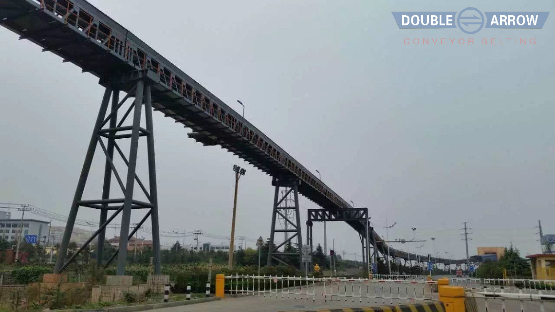 1512005678454507C1ST.jpg fujianlongjing1140.jpg